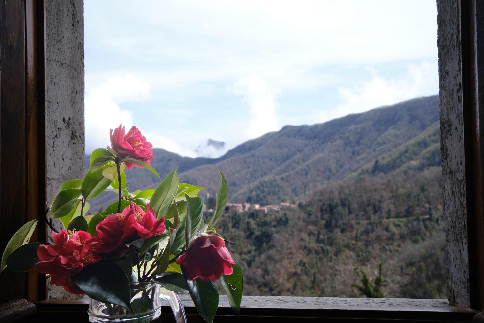 Il Frutteto Natura A Relax Stazzema Exterior foto