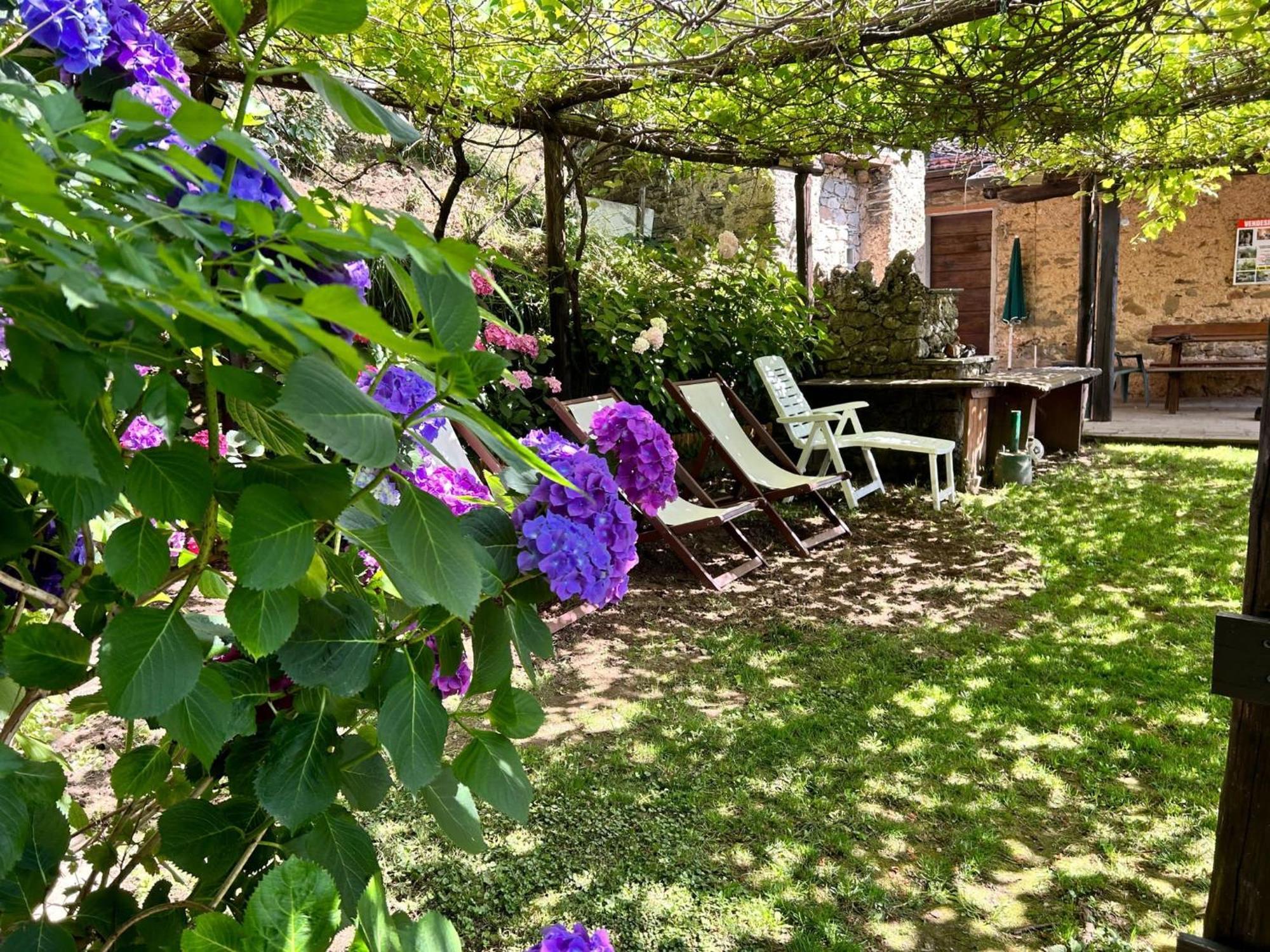 Il Frutteto Natura A Relax Stazzema Exterior foto