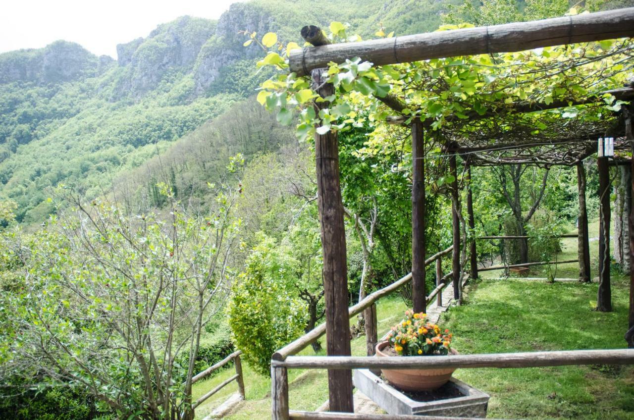 Il Frutteto Natura A Relax Stazzema Exterior foto