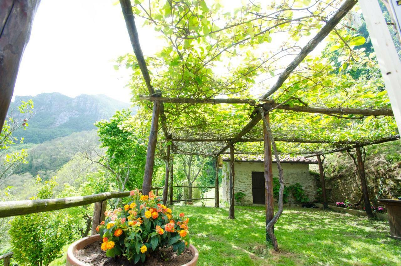 Il Frutteto Natura A Relax Stazzema Exterior foto