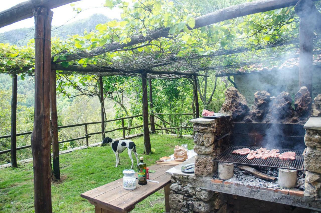 Il Frutteto Natura A Relax Stazzema Exterior foto