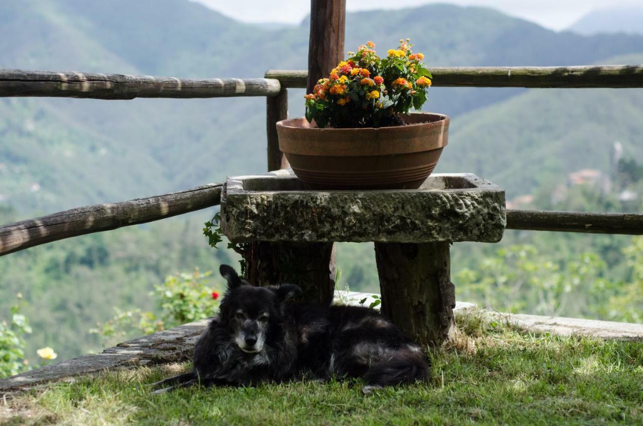 Il Frutteto Natura A Relax Stazzema Exterior foto