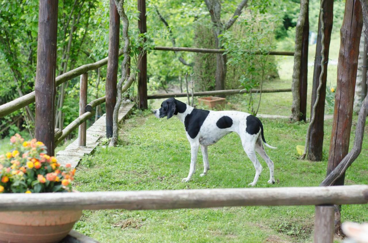 Il Frutteto Natura A Relax Stazzema Exterior foto