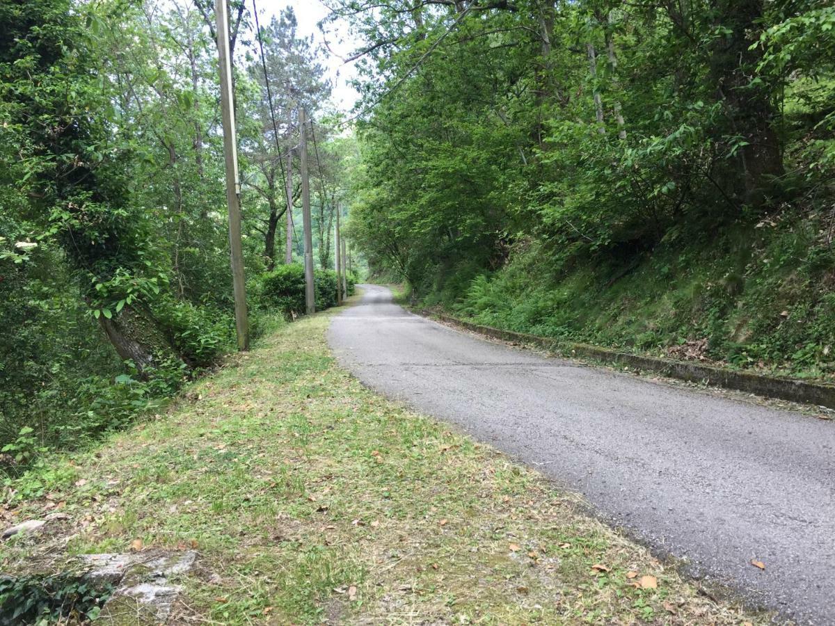 Il Frutteto Natura A Relax Stazzema Exterior foto
